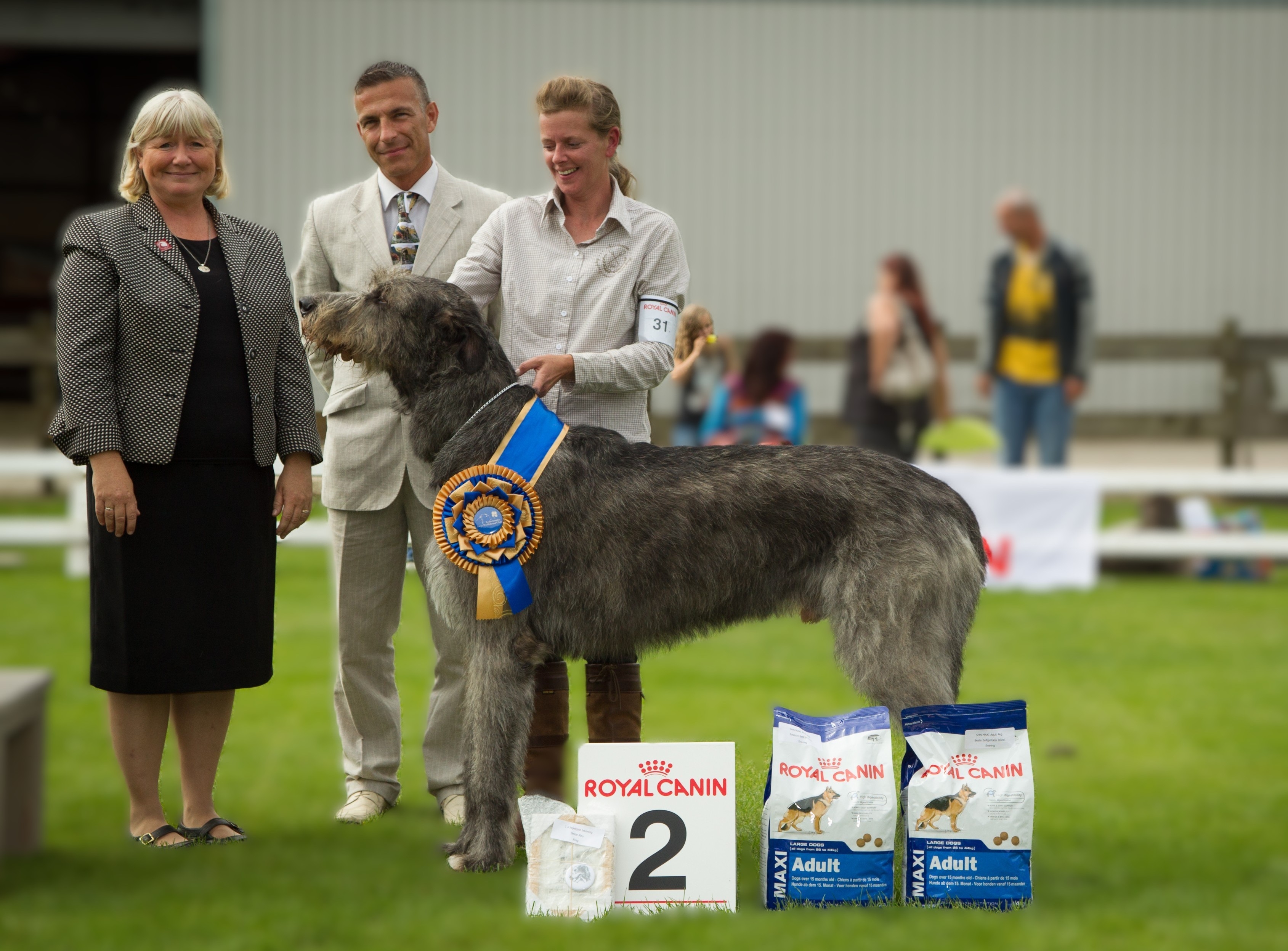KCM 2012, Beste Reu Angus of Shengail 'Hogan', fokker/eig. Ingrid Drenthen-Hoekstra 